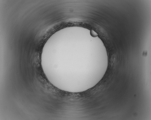 X0000110691062200907021928