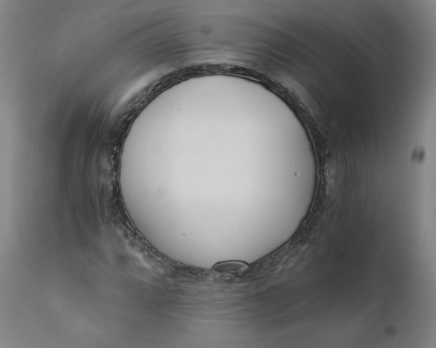 X0000110691064200907021928