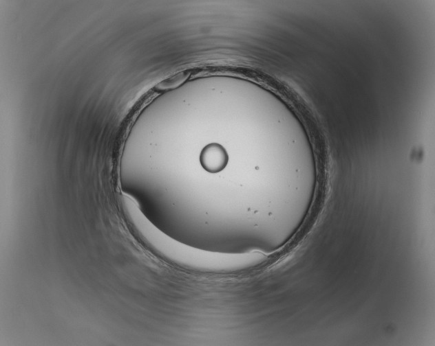 X0000110691065200907021928