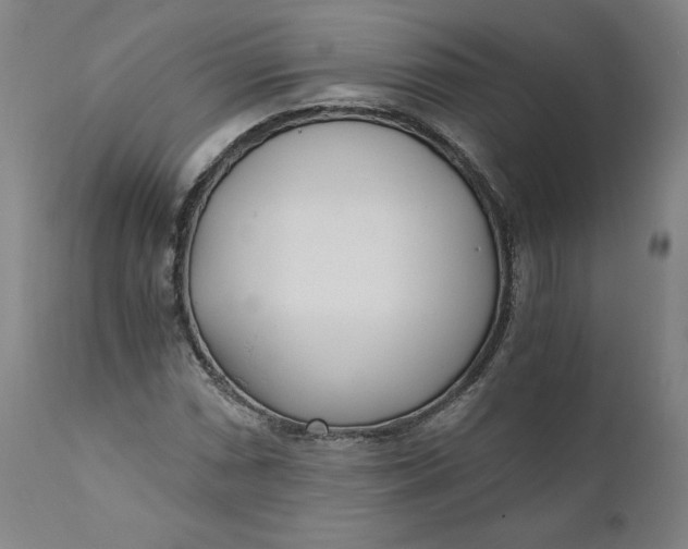 X0000110691066200907021928