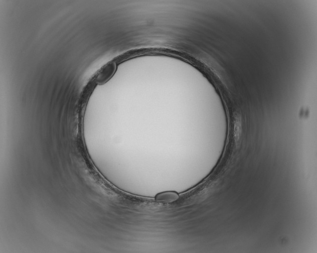 X0000110691069200907021928