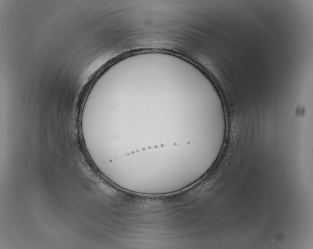 X0000110691071200907021928