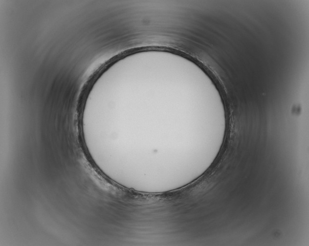 X0000110691072200907021928