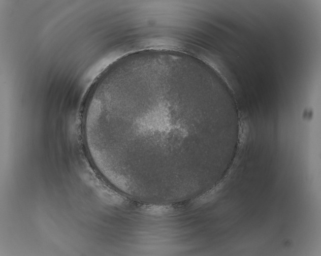 X0000110691074200907021928