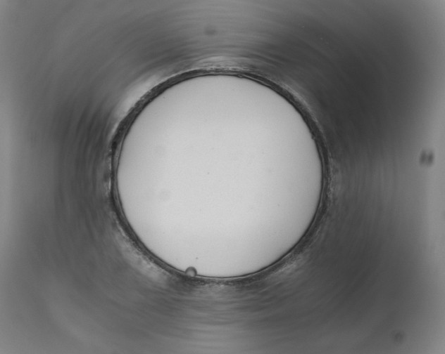 X0000110691075200907021928