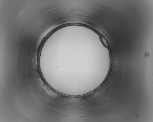 X0000110691076200907021928