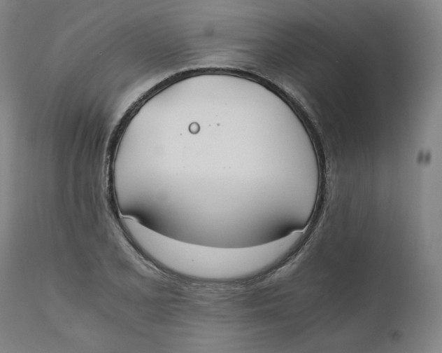 X0000110691077200907021928