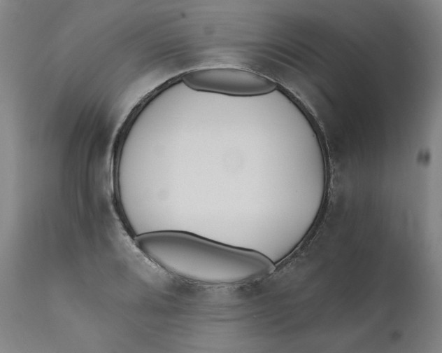 X0000110691080200907021928