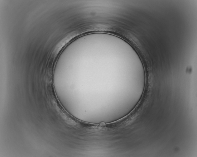 X0000110691081200907021928