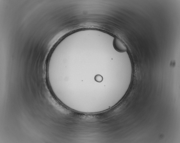 X0000110691082200907021928