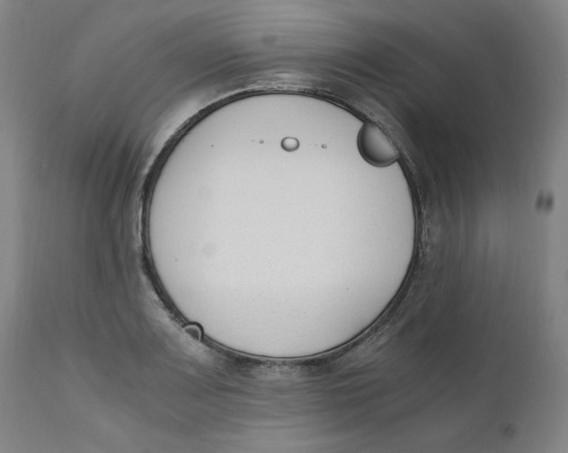 X0000110691083200907021928