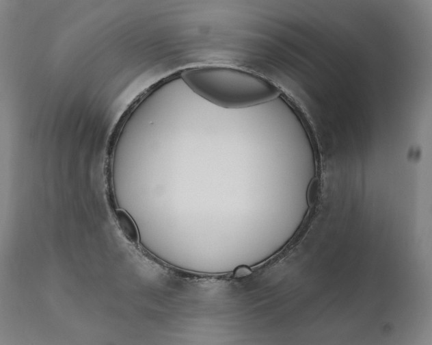 X0000110691085200907021928