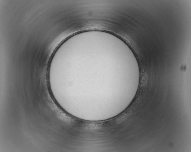 X0000110691086200907021928