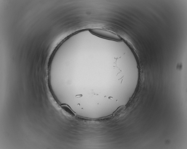 X0000110691088200907021928