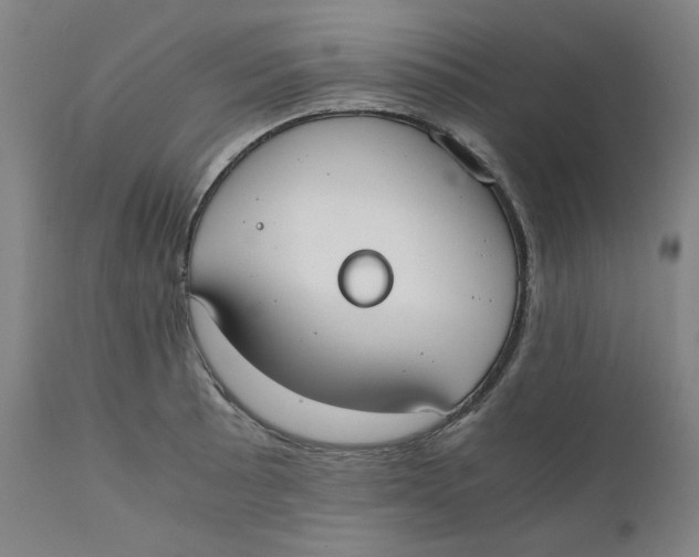 X0000110691089200907021928