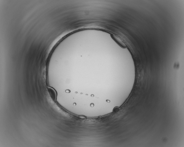 X0000110691092200907021928