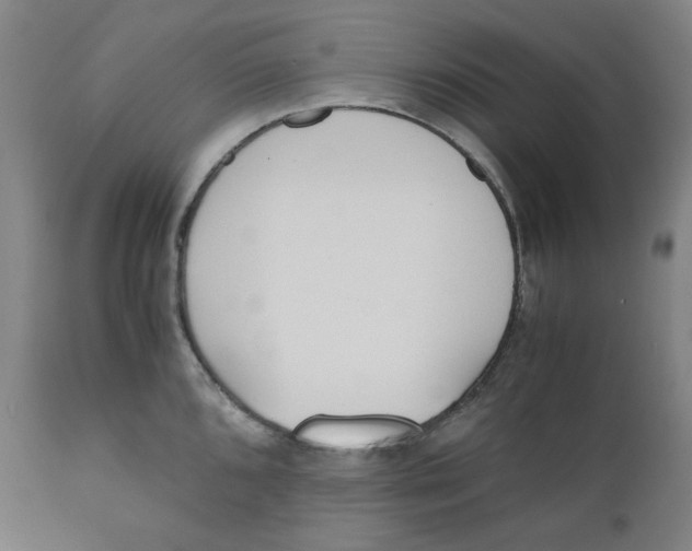 X0000110691096200907021927