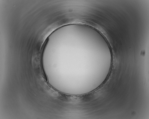 X0000110691097200907021927