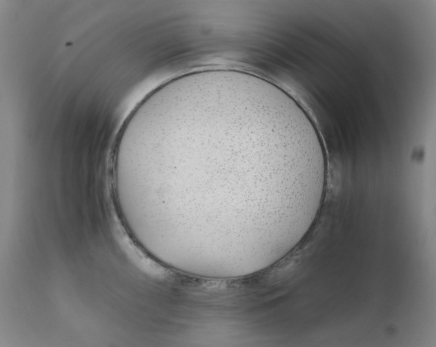 X0000110691098200907021927