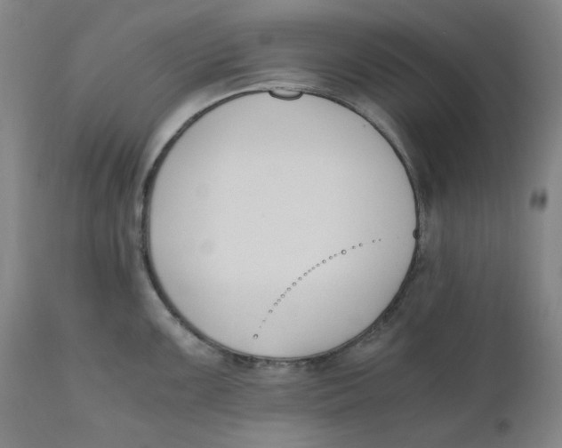 X0000110691099200907021927