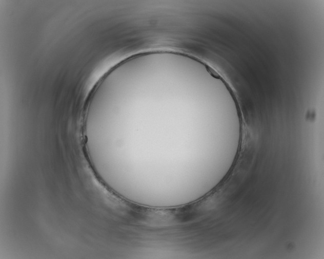 X0000110691101200907021927