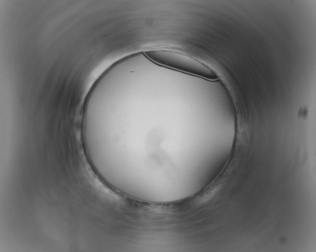 X0000110691102200907021927