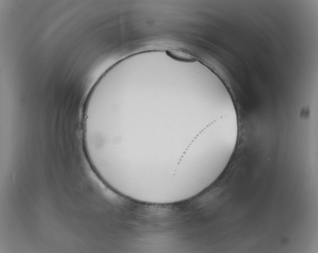 X0000110691103200907021927