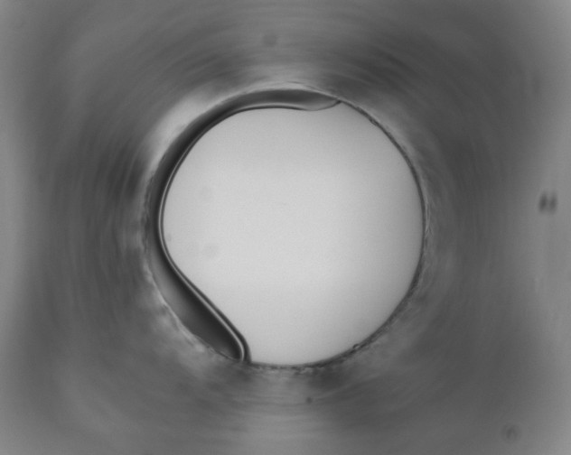 X0000110691104200907021927