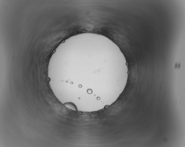 X0000110691105200907021927