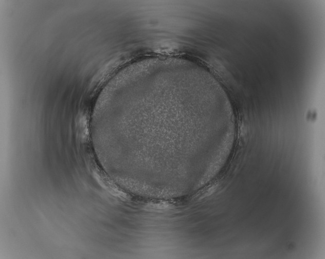 X0000110691106200907021927