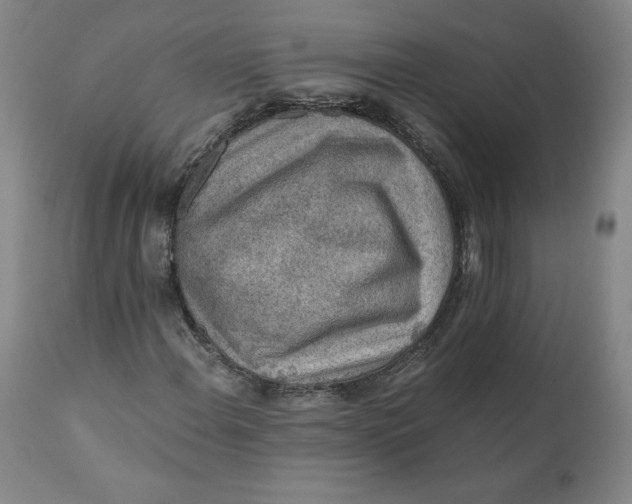 X0000110691108200907021927