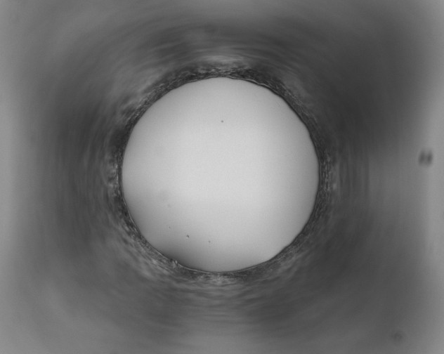 X0000110691109200907021927