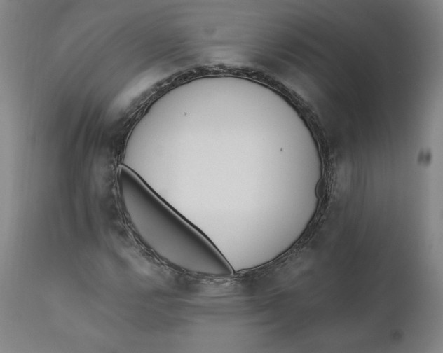 X0000110691112200907021927