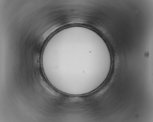 X0000110691113200907021927