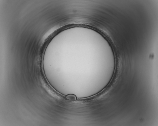 X0000110691114200907021927