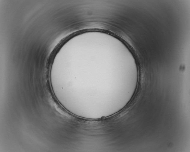 X0000110691116200907021927