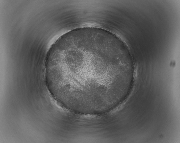 X0000110691117200907021927