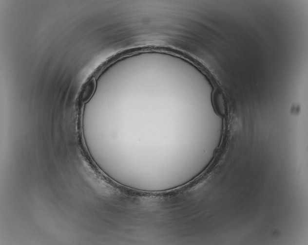 X0000110691118200907021927