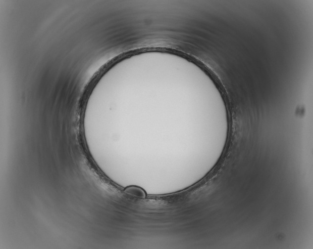 X0000110691119200907021927