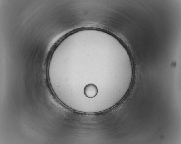 X0000110691120200907021927