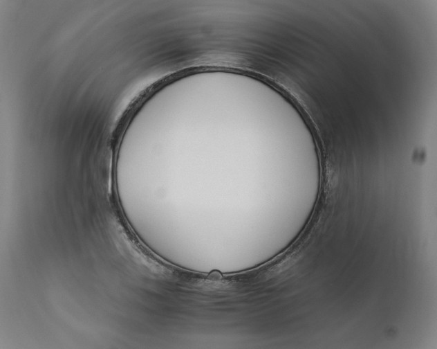 X0000110691123200907021927