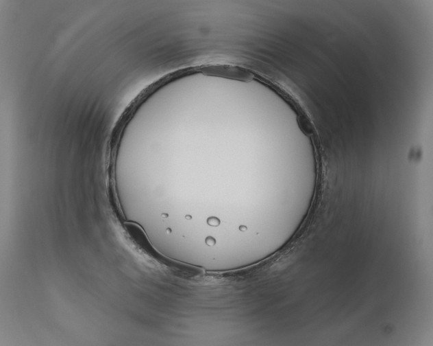 X0000110691124200907021927