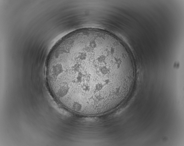 X0000110691125200907021927