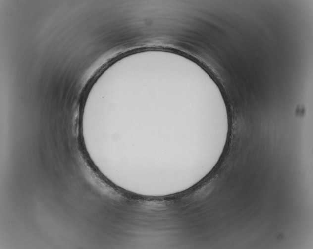 X0000110691126200907021927