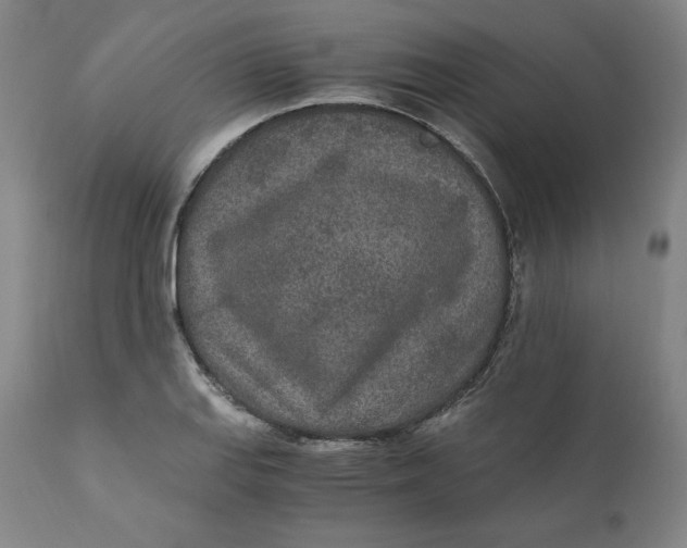 X0000110691127200907021927