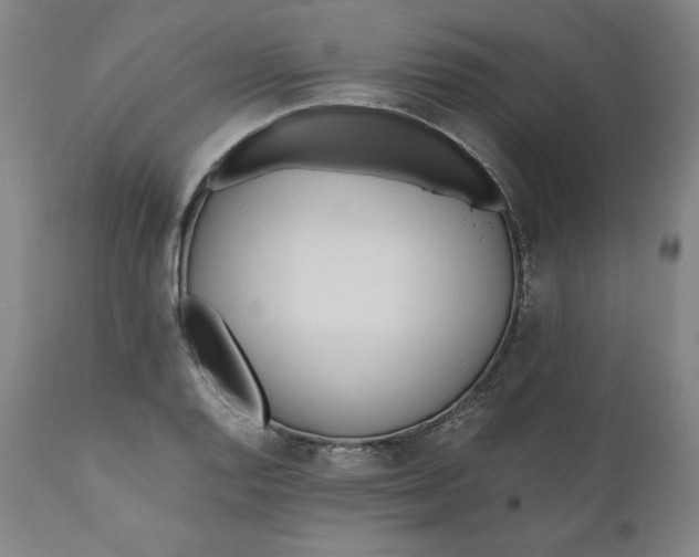 X0000110691128200907021927