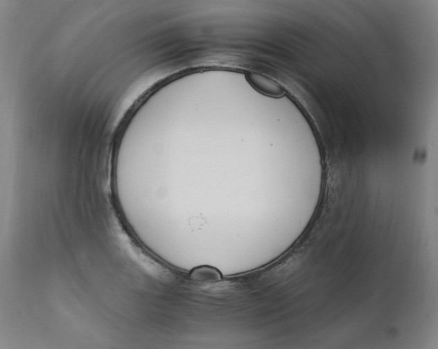 X0000110691131200907021927