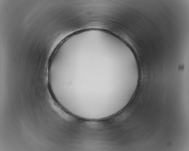 X0000110691132200907021927