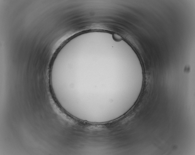 X0000110691133200907021927