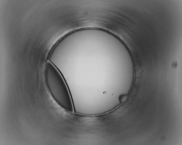 X0000110691134200907021927